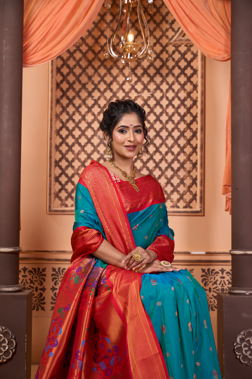 Elegant Traditional Saree