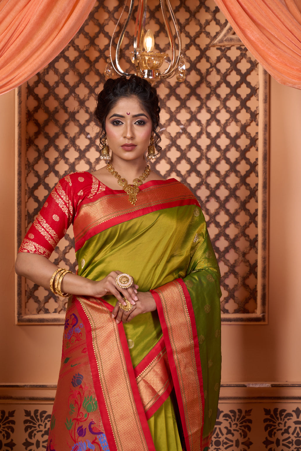 Elegant Traditional Saree
