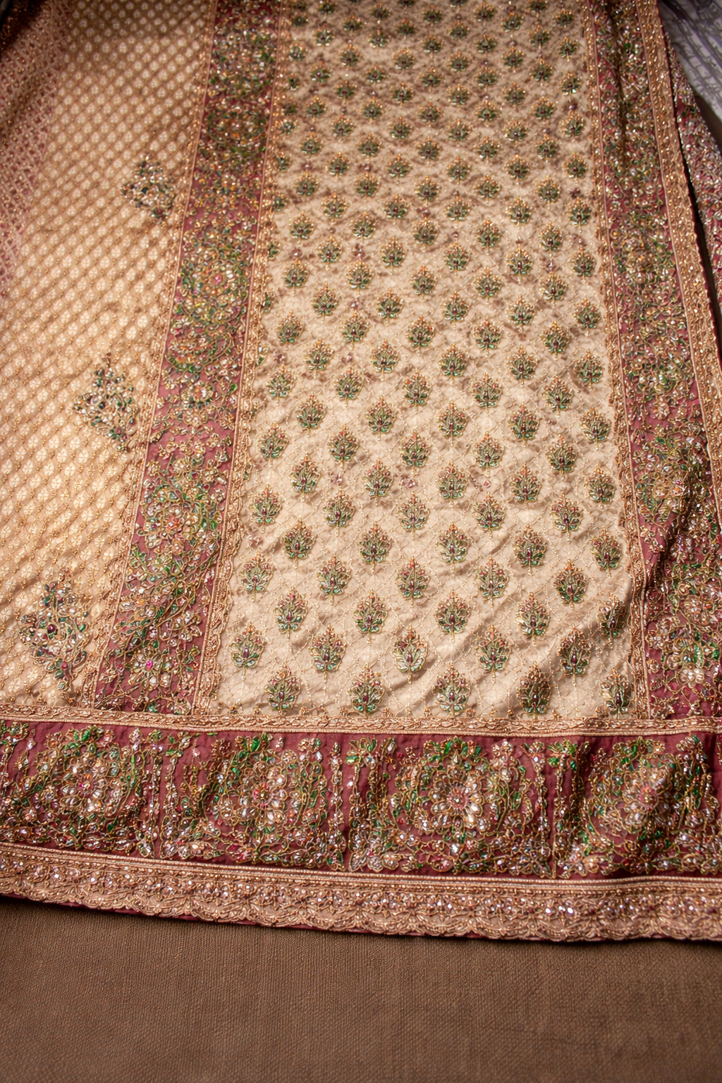Champagne Beige Shimmer Tissue Silk Saree with All Over Butti Motifs Embroidered Border