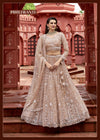 Desert Bronze Net Embellished Bridal Lehnga  - Crafted Just for You. Minimum Delivery 20 Days