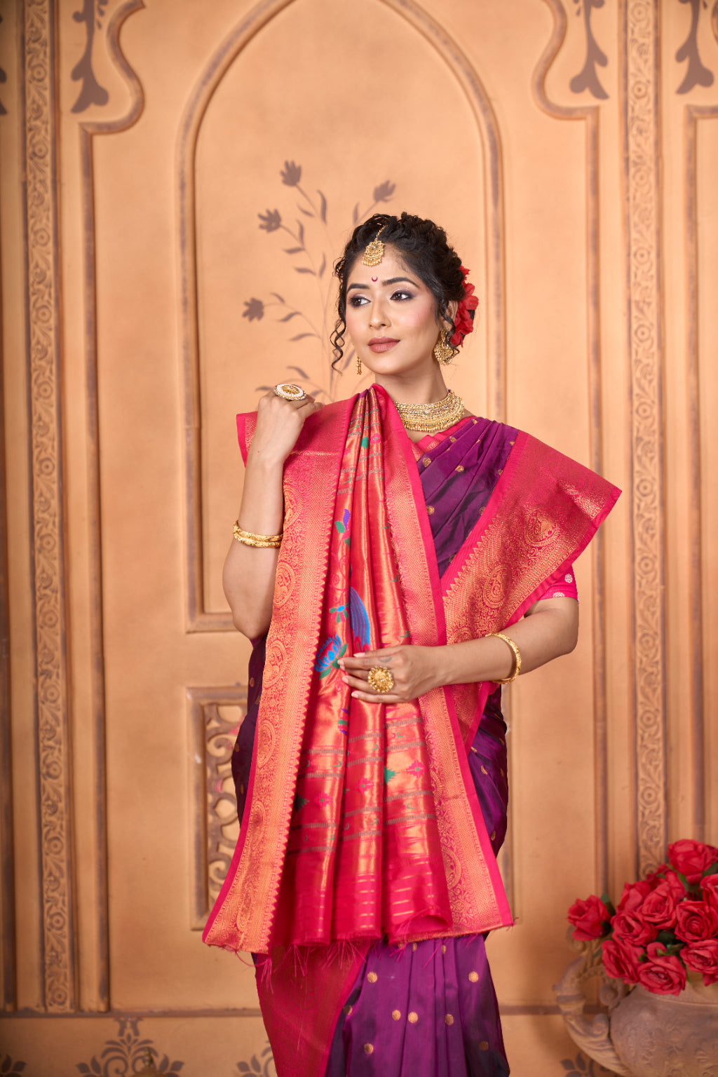 Elegant Traditional Saree