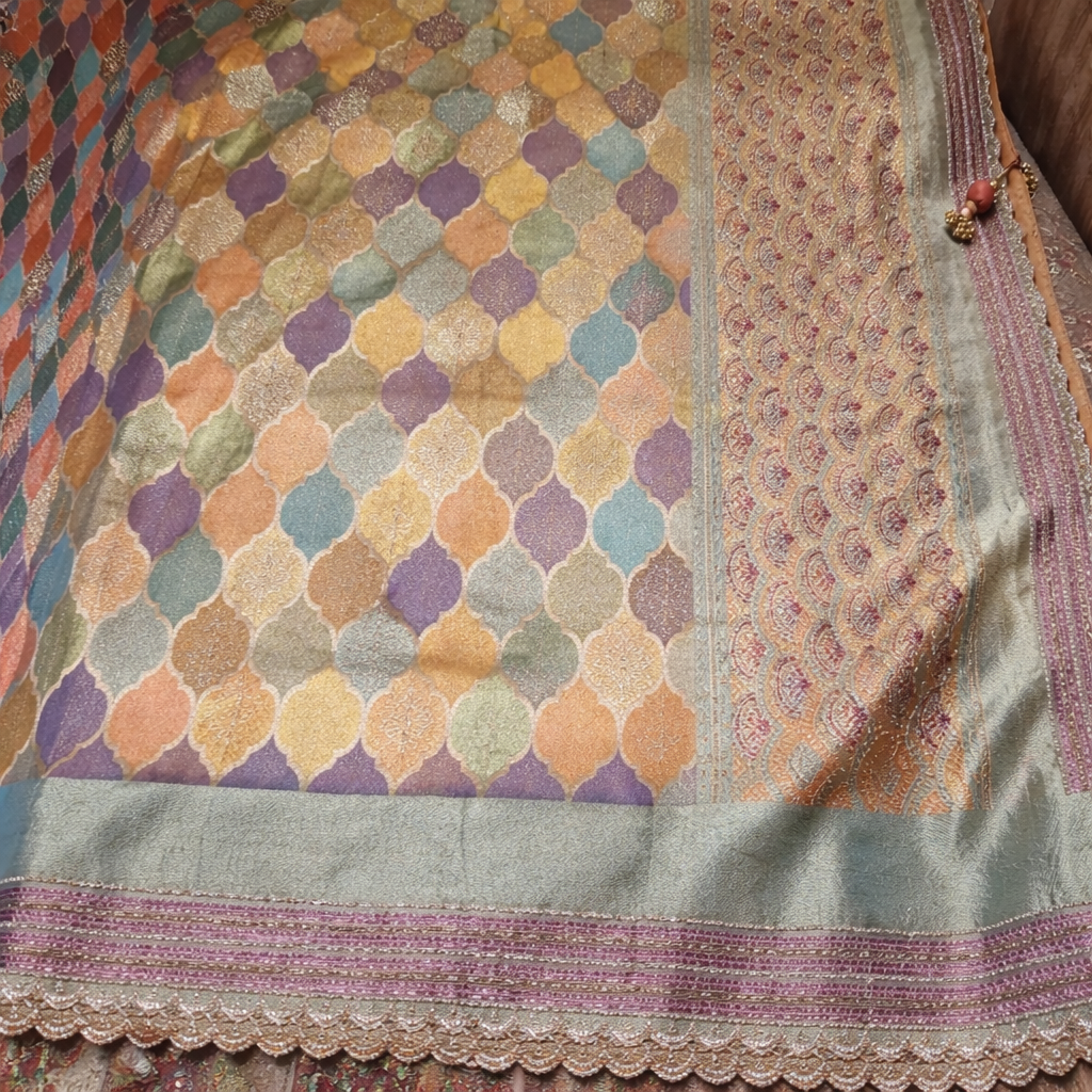 Multicolor Banarasi Silk Saree with Geometric Trellis Weave & Traditional Paisley Border